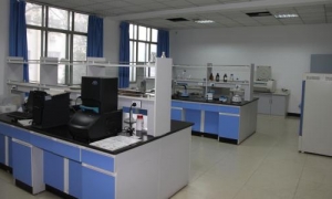 样品前处理：实验分析的“第 一道防线”与技术革新