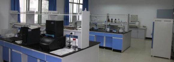 样品前处理：实验分析的“第 一道防线”与技术革新